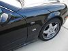 more tinting!!!-dsc00818-1.jpg