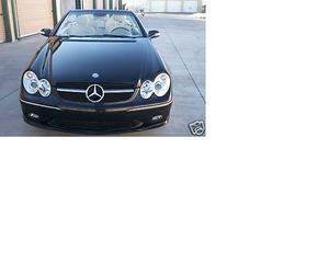W209 Single bar grill?-grill.bmp