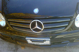 CF Lip Installed-grill-2.jpg