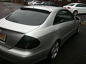 FS: 04 TINTED TAILS-img_1062.jpg