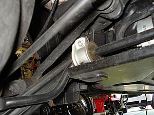 Yes another dual exhaust question-dsc00562.jpg