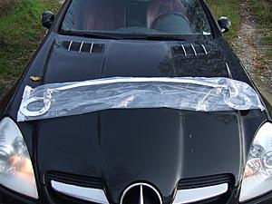 Black Series Strut Bars-dscf1979mediumip9.jpg