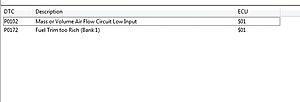 MAF correct readings?-error_codes.jpg