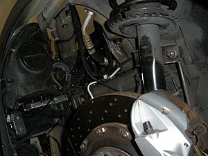 Advise Needed-p2020139.jpg