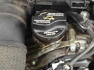 Oil leaks a common issue?-photo-2.jpg