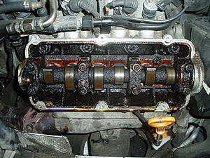 oil change question?-burnator.jpg