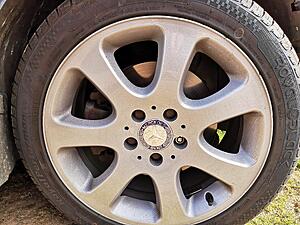 Wheel Refurb - Colour choice?-6cpmwxv.jpg