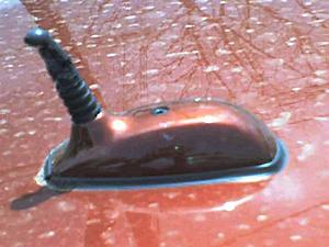 Antenna: CLK 55 2001 (208)-antenna.jpg