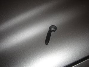 How Do I remove those plastics Door Locks?-pic2.jpg