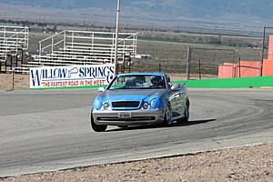 Willow on Monday March 23-willow_bigtrack_3-23-09_062-mbworld-.jpg