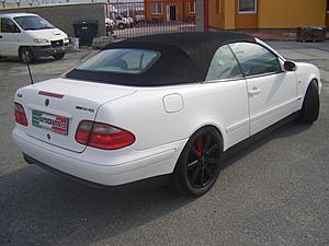 AMG posers-c46c1d441fc7b775e9a29d5e35a9d3fa.jpg