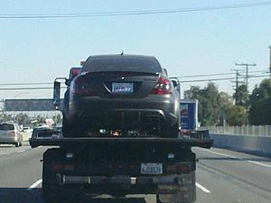 AMG posers-clkbs.jpg
