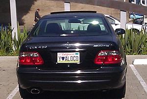 AMG posers-amg-poser-clk.jpg