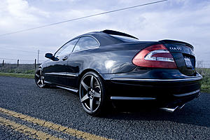 CLK55 AMG Picture Thread-theoneformbworld.jpg