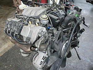 W208 AMG Tear Down - Top To Bottom-engineout.jpg