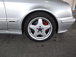 Want to Paint Calipers-dscf5213.jpg