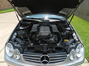 CLK55 AMG Picture Thread-04clkk61111engineshotkeeper.jpg