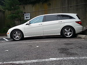 AMG posers-20130818_184225_zps35c31375.jpg