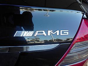 AMG posers-img1003.jpg