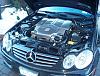 CLK55 AMG Picture Thread-im0009970-small.jpg