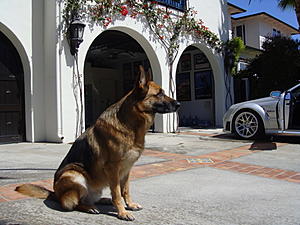 Updating Home Security, Is It Necessary 4 My Cars-dsc00036.jpg