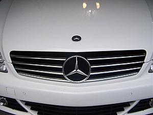 PAINTED MY ROOF BLACK  (pics)-6.jpg