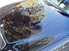 can u say "shiny?"-p8230042.jpg