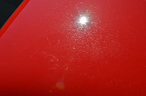 Detailer's Domain - Ferrari 458 Challenge - Paint Correction - Opti Coat-dsc_4225_zps59a07887.jpg