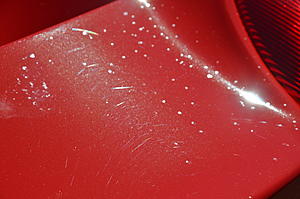 Detailer's Domain - Ferrari 458 Challenge - Paint Correction - Opti Coat-dsc_4239_zps34a0f4f5.jpg