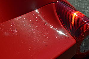 Detailer's Domain - Ferrari 458 Challenge - Paint Correction - Opti Coat-dsc_4240_zps36534abf.jpg