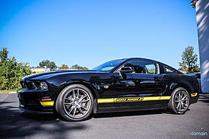 2014 Ford Hertz Penske Mustang GT - Paint Correction and Opti Coat-img_4562_zps2a35d621.jpg