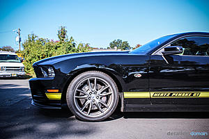 2014 Ford Hertz Penske Mustang GT - Paint Correction and Opti Coat-img_4563_zps6a4bfbe4.jpg