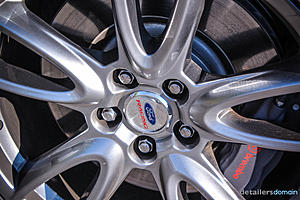 2014 Ford Hertz Penske Mustang GT - Paint Correction and Opti Coat-img_4622_zpsbb442563.jpg