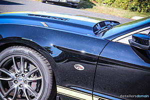 2014 Ford Hertz Penske Mustang GT - Paint Correction and Opti Coat-img_4603_zps1a454fe3.jpg