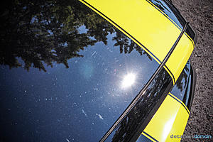 2014 Ford Hertz Penske Mustang GT - Paint Correction and Opti Coat-img_4609_zpsa0a3c744.jpg