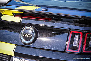 2014 Ford Hertz Penske Mustang GT - Paint Correction and Opti Coat-img_4613_zpsae13ebc5.jpg