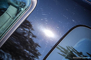 2014 Ford Hertz Penske Mustang GT - Paint Correction and Opti Coat-img_4573_zps478ef332.jpg