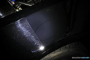 2014 Ford Hertz Penske Mustang GT - Paint Correction and Opti Coat-img_4754_zps4f4ba6ec.jpg