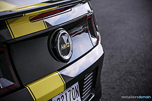 2014 Ford Hertz Penske Mustang GT - Paint Correction and Opti Coat-img_4812_zps0e24498d.jpg