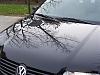 Show Us Your Detailing Work-100_1209.jpg