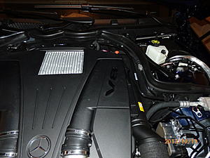 2014 E550 Coupe oil dipstick-002.jpg