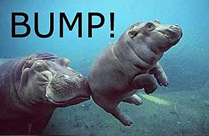 Replacing Mufflers - Magnaflow?-hippo_bump.jpg