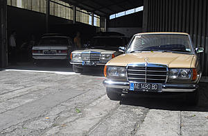 W123 Owners' Photos Gallery-cimg1317.jpg