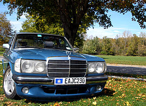 W123 Owners' Photos Gallery-blue_2.jpg