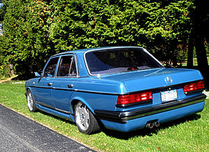 W123 Owners' Photos Gallery-blue_3.jpg