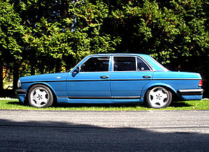 W123 Owners' Photos Gallery-blue_5.jpg