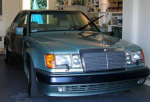 W124 E-Class Picture Thread-img_0233.jpg