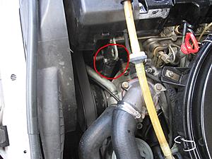 Dam Rattling-merc-rattle-2.jpg