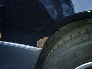 Rust issues (1993 280e), advice needed-rust_passenger_wing_2.jpg
