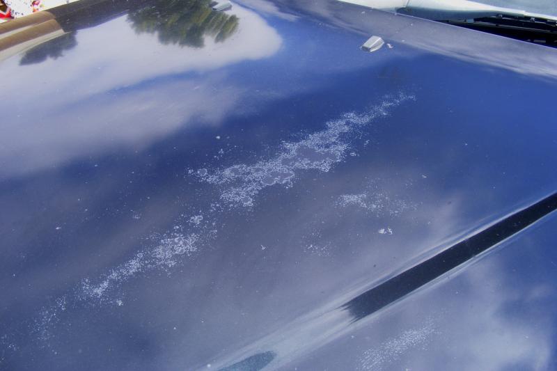 Any DIY method to fix peeling clear coat? -  Forums